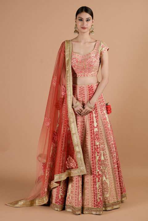Pink Thread Velvet Lehenga