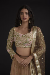 Tan Resham Embroidered Lehenga_SUB8243