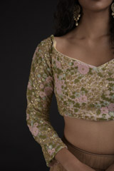 Tan Resham Embroidered Lehenga_SUB8244