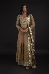 Tan Resham Embroidered Lehenga