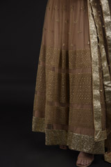 Tan Resham Embroidered Lehenga_SUB8246
