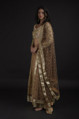 Tan Resham Embroidered Lehenga_SUB8247