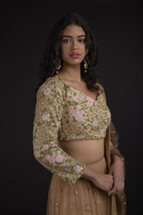 Tan Resham Embroidered Lehenga_SUB8250