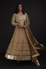 Tan Resham Embroidered Lehenga_SUB8251