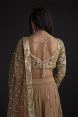 Tan Resham Embroidered Lehenga_SUB8254