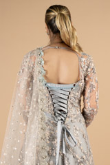 Grey Embellished GownDSC09212