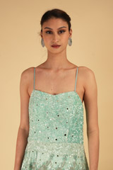 Aqua Blue Embroidered GownDSC06928