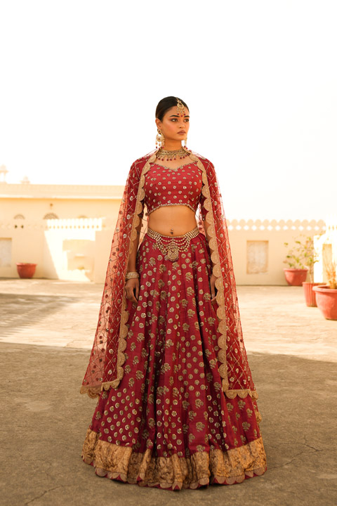 Red Embroidered  Lehenga  Set