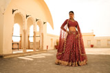 Red Embroidered  Lehenga  SetDSC03094