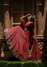 Red Embroidered  Lehenga  SetIMG_8492