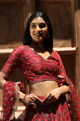 Red Embroidered  Lehenga  SetIMG_8502