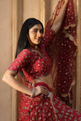 Red Embroidered  Lehenga  SetIMG_8556