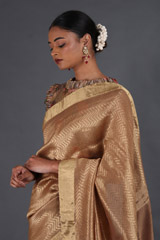 Gold Chanderi Tissue SareeIMG_4479