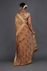 Gold Chanderi Tissue SareeIMG_4485