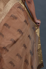 Gold Chanderi Tissue SareeIMG_4486