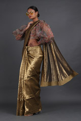 Gold Metallic Silk SareeIMG_3904