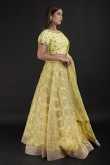 Yellow Gotta Work Lehenga_DTR1221
