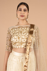 Gold Zari Border LehengaDSC01350
