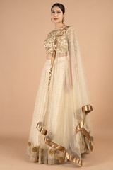 Gold Zari Border LehengaDSC01352