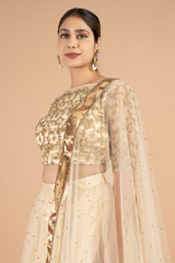 Gold Zari Border LehengaDSC01353