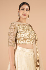 Gold Zari Border LehengaDSC01354