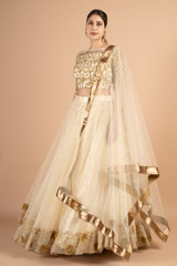 Gold Zari Border LehengaDSC01359