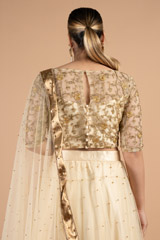 Gold Zari Border LehengaDSC01360