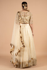 Gold Zari Border LehengaDSC01361