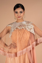 Peach Tulle And Georgette Saree GownDSC06651