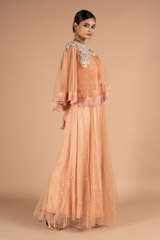 Peach Tulle And Georgette Saree GownDSC06656