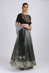 Green Ombre Katdana LehengaIMG_2833