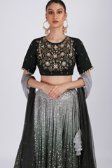 Green Ombre Katdana LehengaIMG_2840
