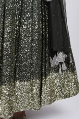 Green Ombre Katdana LehengaIMG_2845