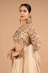 Beige Embroidered LehengaDSC01913