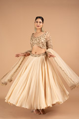 Beige Embroidered Lehenga