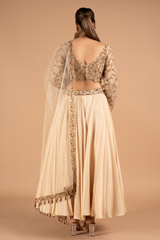 Beige Embroidered LehengaDSC01921