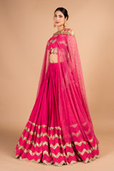 Pink Sequins Lehenga SetDSC09639