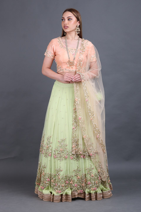 Mint Green Embellished Lehenga
