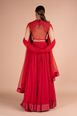 Red Fringe Sleeve LehengaDSC06979