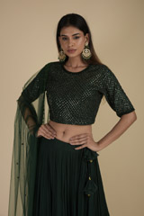 Green Embroidered Lehenga_SUB8422