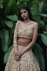 Resham Work Ghagra2