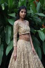 Resham Work Ghagra4