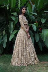 Resham Work Ghagra6