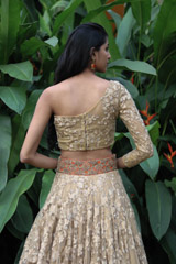 Resham Work Ghagra7