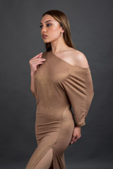 Golden High Slit Gown_DSC7775-Edit