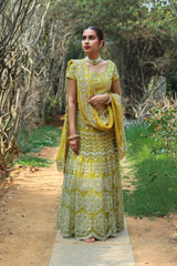 Yellow Embroidered LehengaIMG_9745