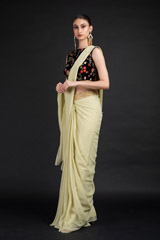 Beige Embroidered Saree Gown_DSC4534-Edit