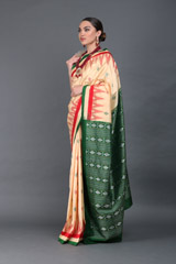 Yellow Ikat Silk SareeIMG_6220