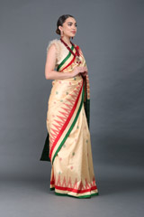 Yellow Ikat Silk SareeIMG_6223