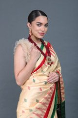 Yellow Ikat Silk SareeIMG_6224